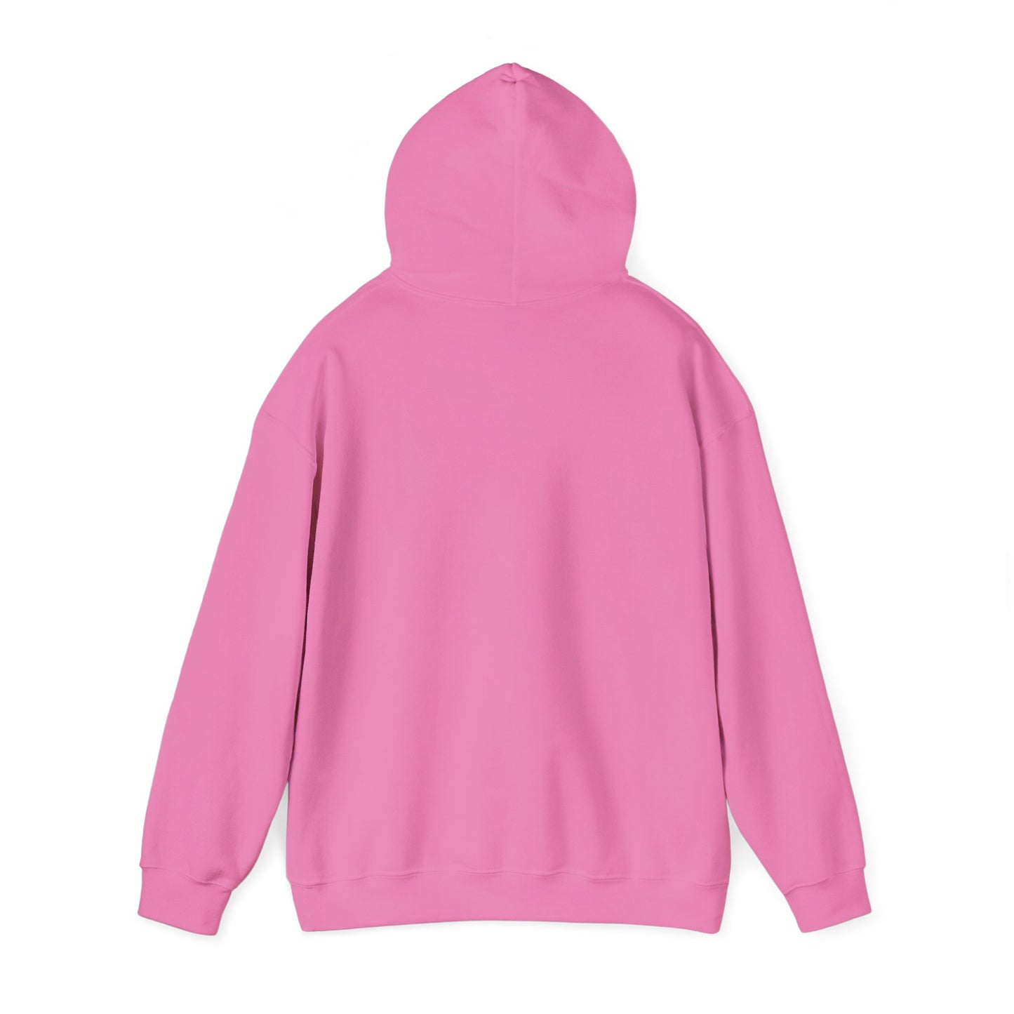 Shield & Scripture Unisex Hoodie