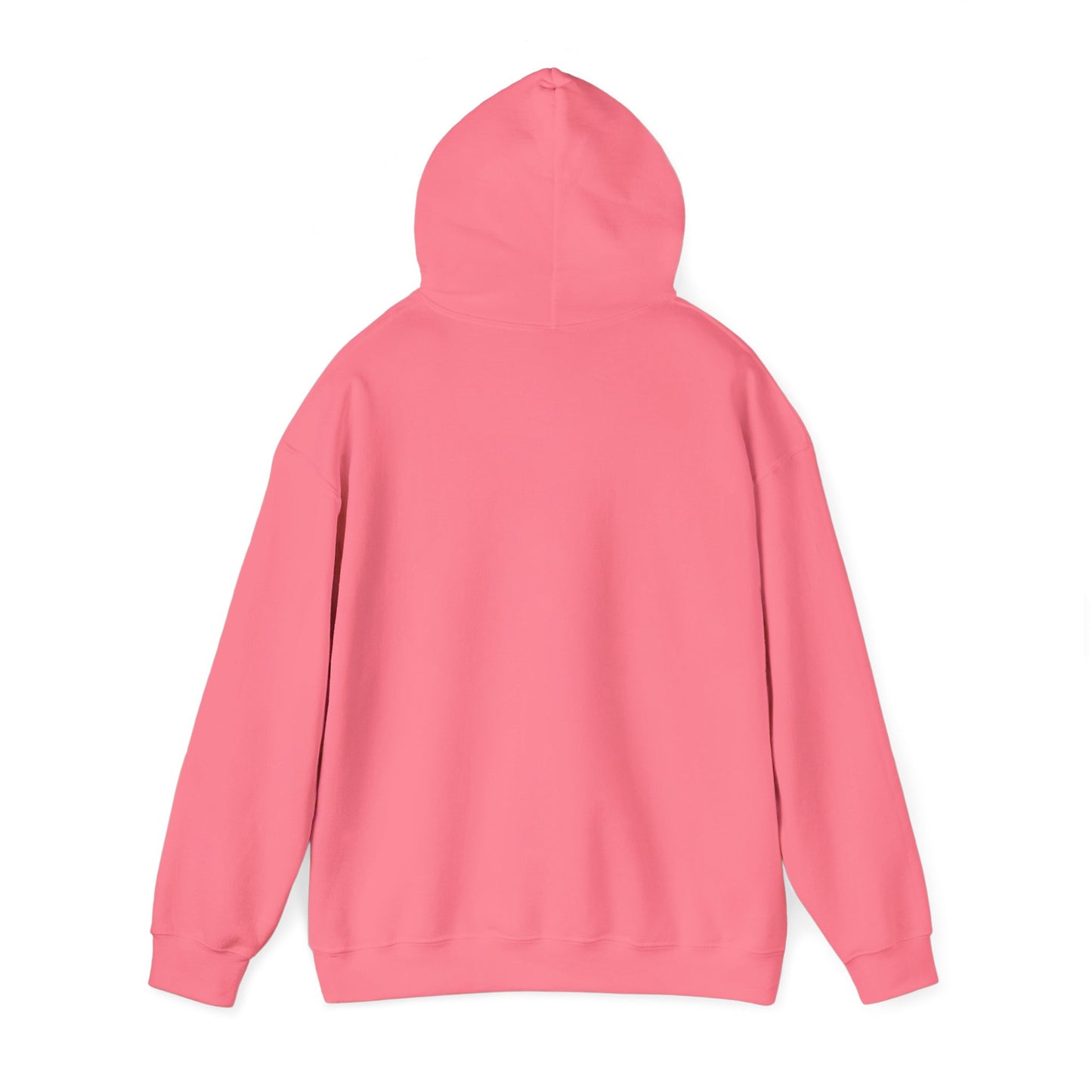 Shield & Scripture Unisex Hoodie