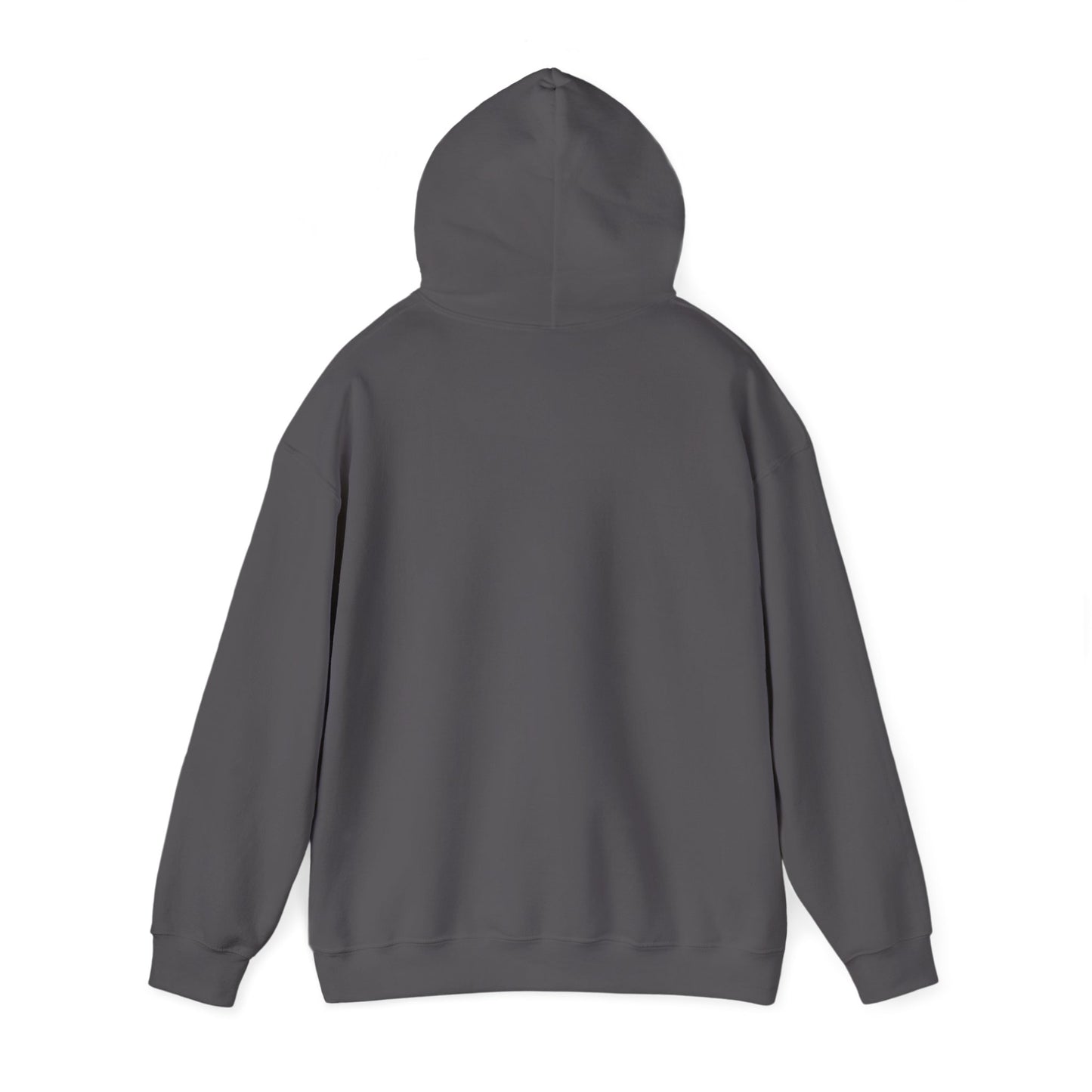 Shield & Scripture Unisex Hoodie