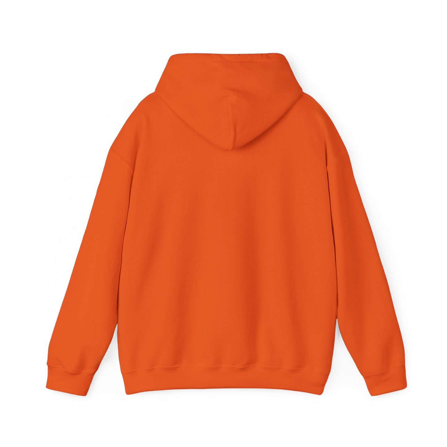 Shield & Scripture Unisex Hoodie