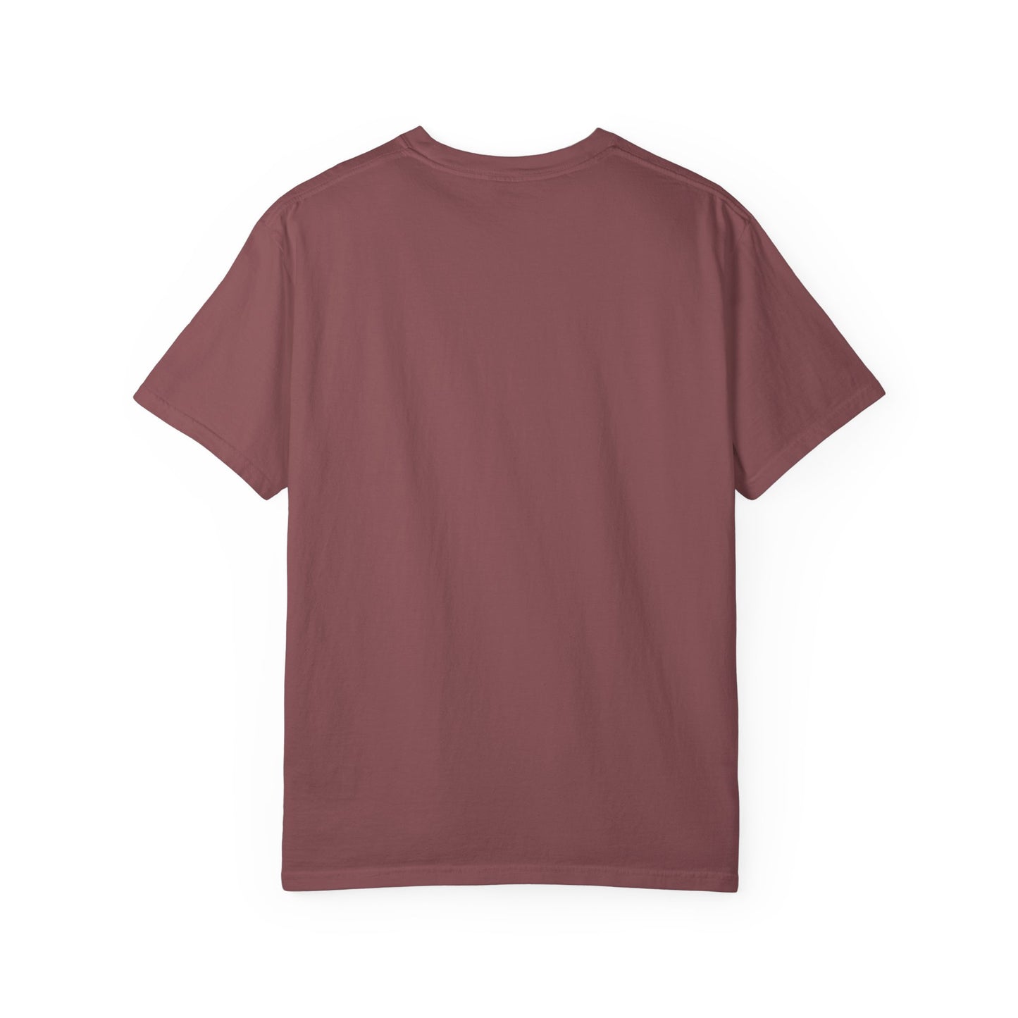 Shield & Scripture Unisex T-Shirt