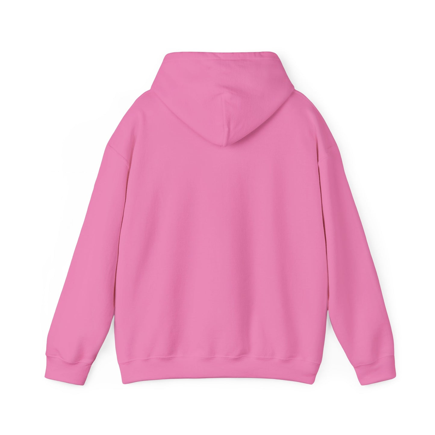 Shield & Scripture Unisex Hoodie