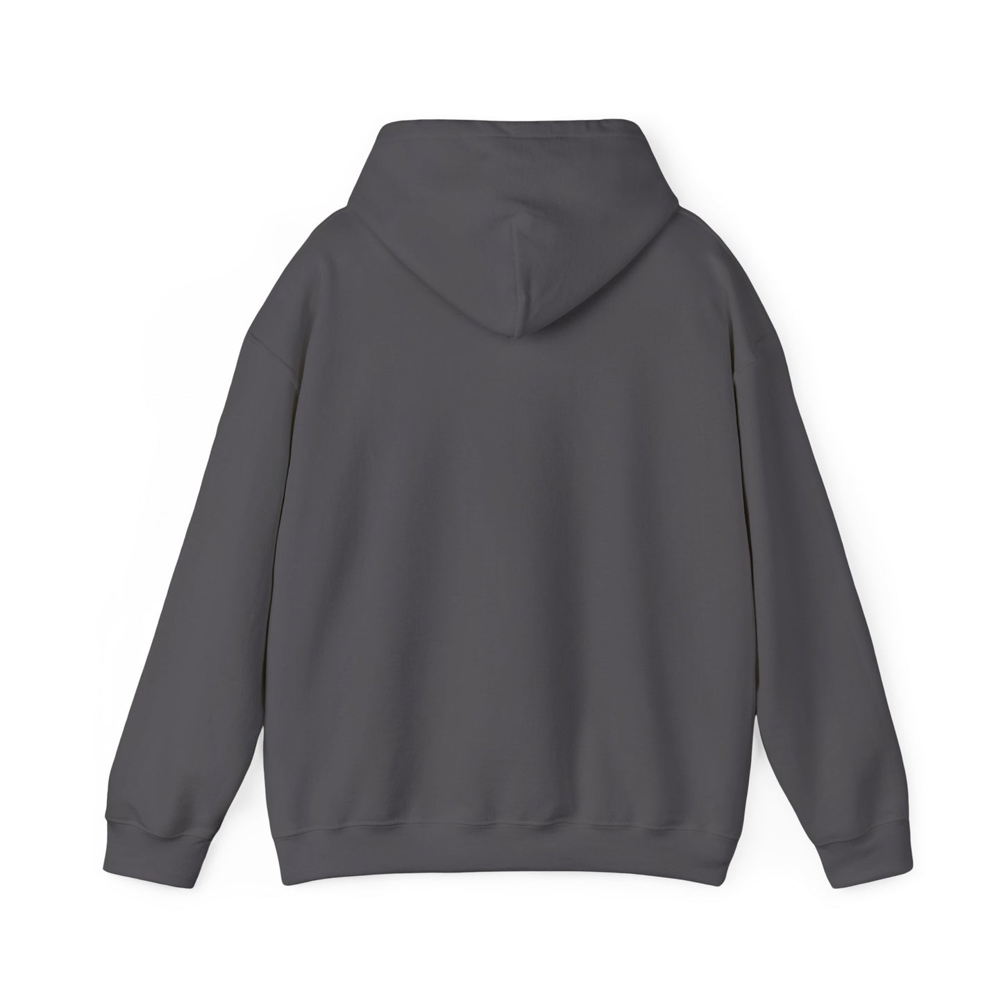 Shield & Scripture Unisex Hoodie