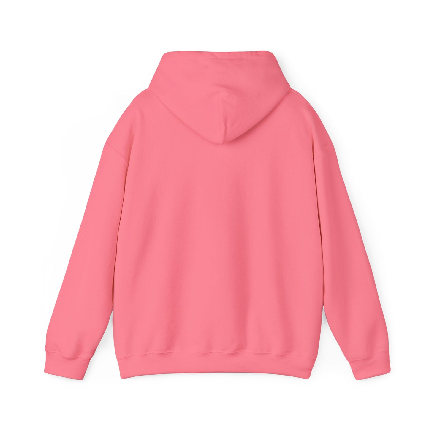 Shield & Scripture Unisex Hoodie