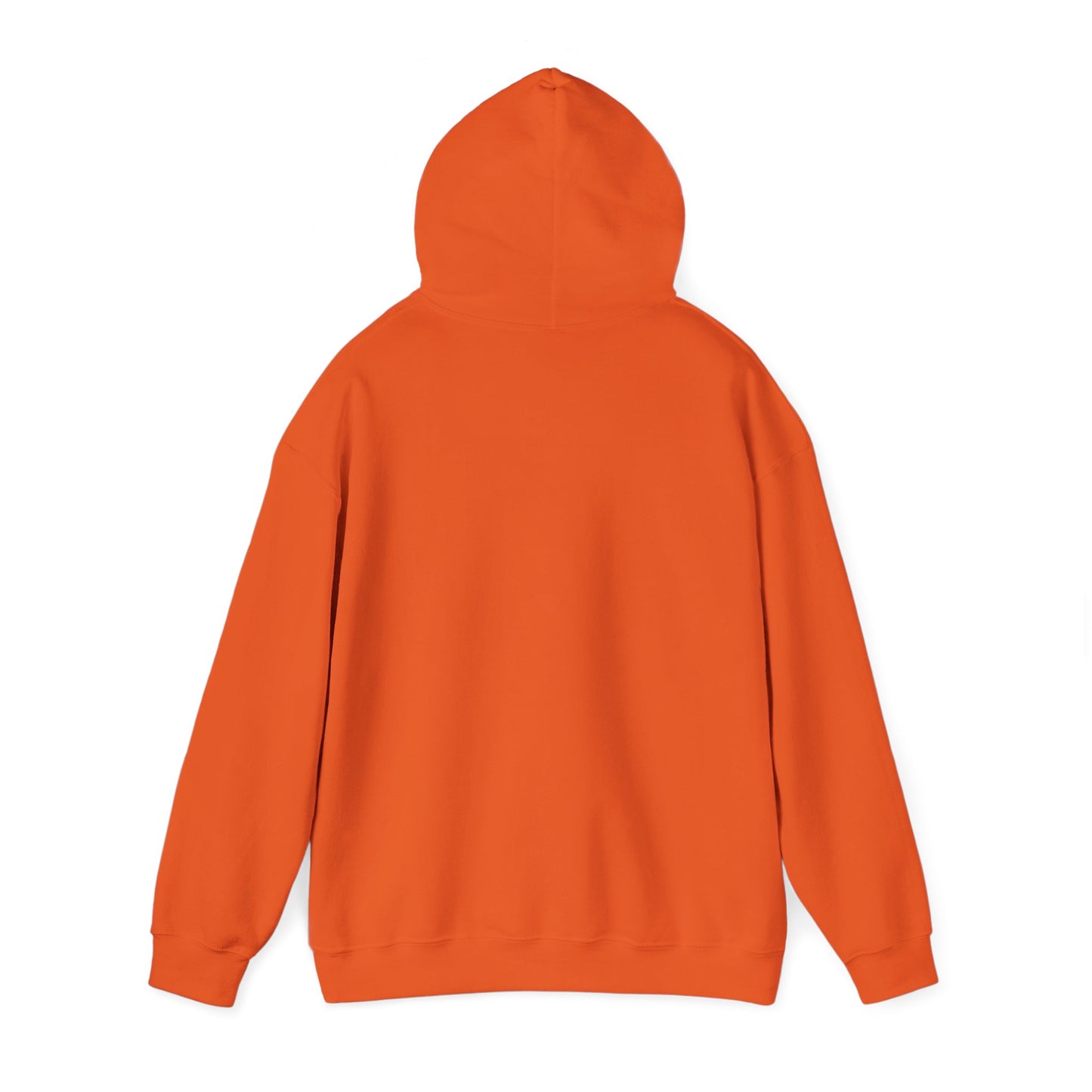 Shield & Scripture Unisex Hoodie